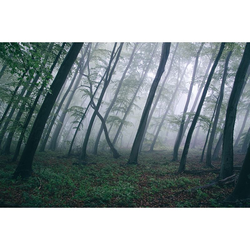 Forest Scenery Wall Mural Modernism Style Wall Decoration for Sitting Room