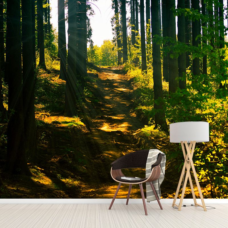 Forest Scenery Wall Mural Modern Home Decor for Sitting Room, Water Resistant