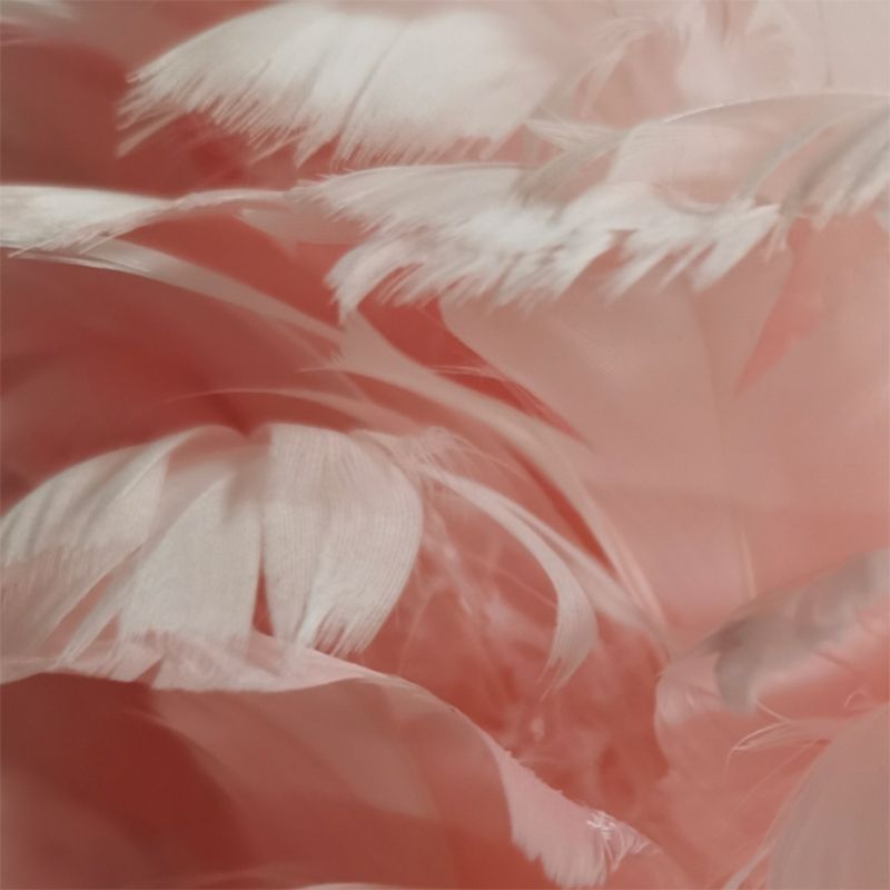 Aménagement d'éclairage de bureau de style contemporain lampe de bureau de plumes créatives pour chambre à coucher