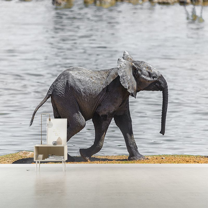 Wild Elephant Animal Mural Wallpaper for Sitting Room, Moisture Resistant