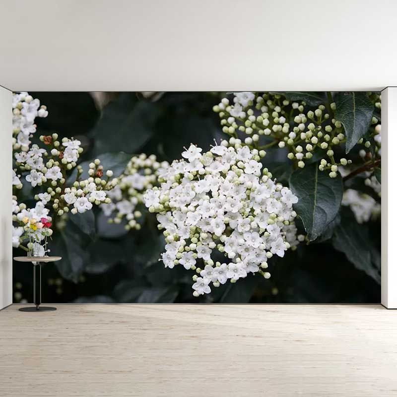 Viburnum Flower Wall Decor Mural Moisture Resistant Living Room Wall Covering