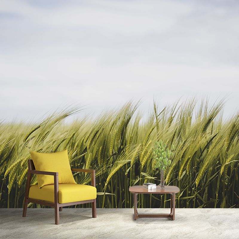 Beautiful Photography Mural Wallpaper Wheat Field Indoor Wall Mural