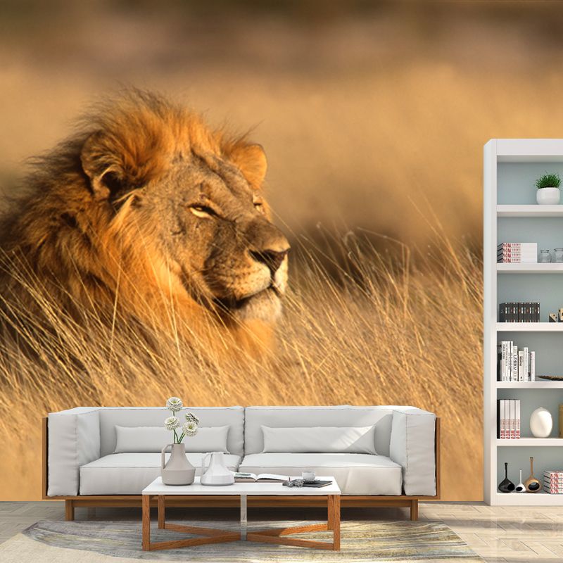 Lion Lying in Grass Mural Contemporary Non-Woven Material Wall Art in Brown for Room