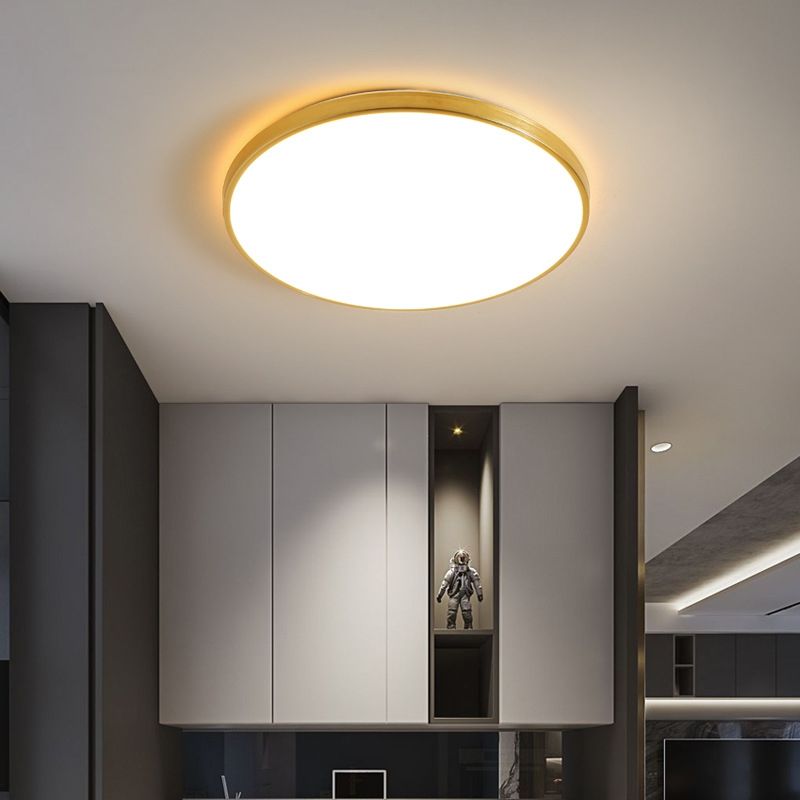 Modern Led Fixture Flush Mount Lighting Fixture Acrylic and Metal Lampshade for Corridor