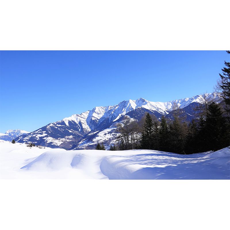 Modern Mildew Mountains Mural Decal Resistant Wall Covering for Living Room