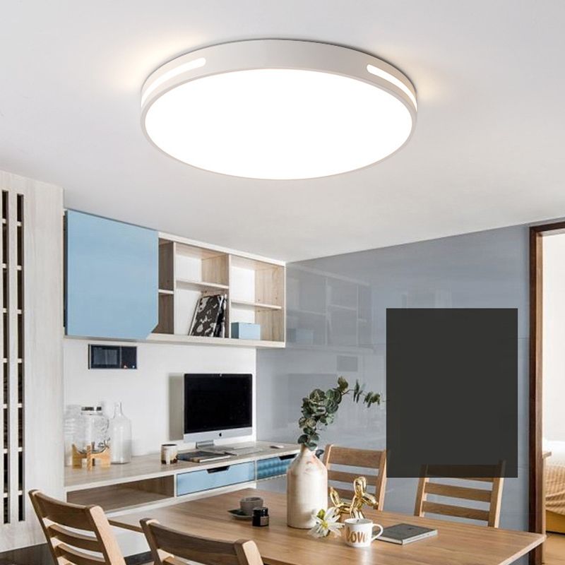Lámpara de techo nórdica moderna y sencilla personalidad estudio de Sala de estar LED ultradelgado lámpara de ahorro de energía de caballo de hierro