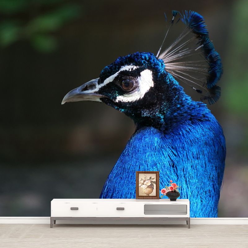 Tropical Peacock Mural Decal for Sitting Room Water Resistant, Made to Measure