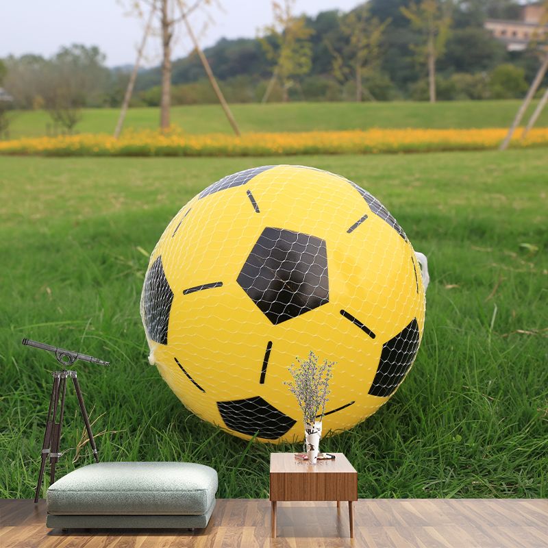 Football Wall Murals Contemporary Photography Style Wall Art for Bedroom