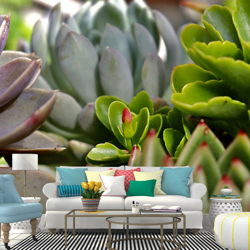 Succulent Plant Mural Wallpaper Personalized Size Wall Covering for Study Room