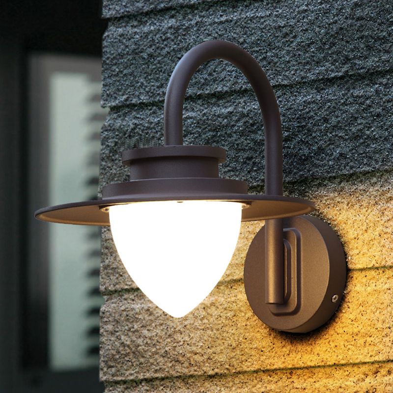 Strawberry Garden Wall Mount Light Metal Minimalist LED Wall Sconce with Gooseneck Arm in Black