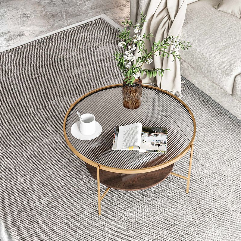 Contemporary Round with Storage Shelf Metal 4 Legs Coffee Table