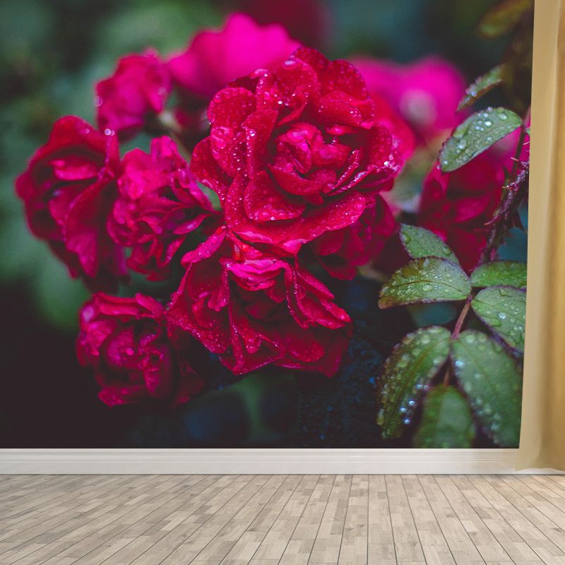 Elegant Rose Flower Photography Mural Environment Friendly Wallpaper for Girl's Bedroom