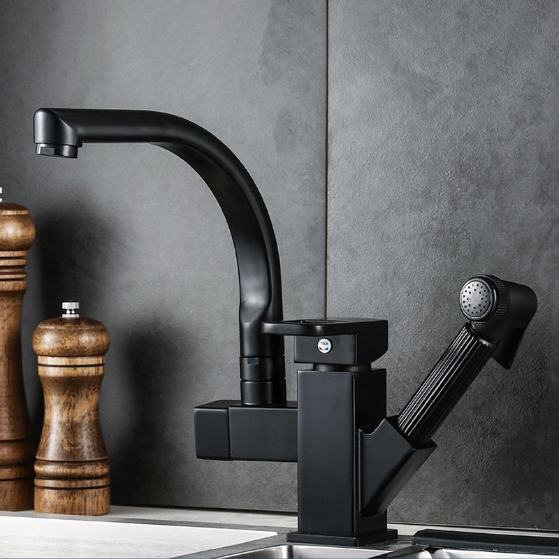 Traditional 1-Handle Faucet with Water Dispenser Standard Kitchen Faucet