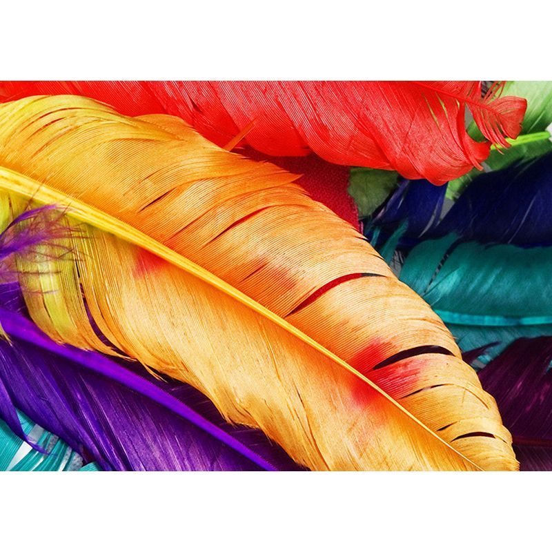 Illustration Feather Murals Extra Large Wall Covering for Home, Personalised Size