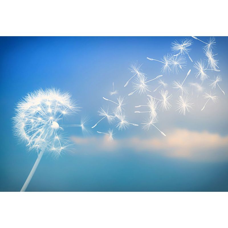 Dandelion Mural Decal Soft Color Decorative Wall Art for Dining Room, Made to Measure