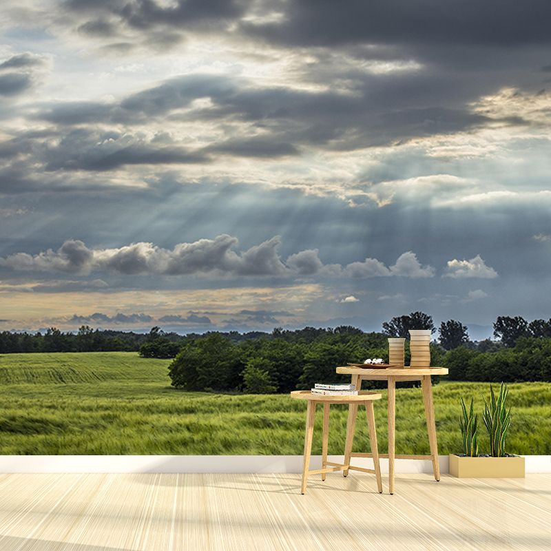 Mildew Resistant Wall Mural Wallpaper Sky Landscapes Pattern for Wall Decor