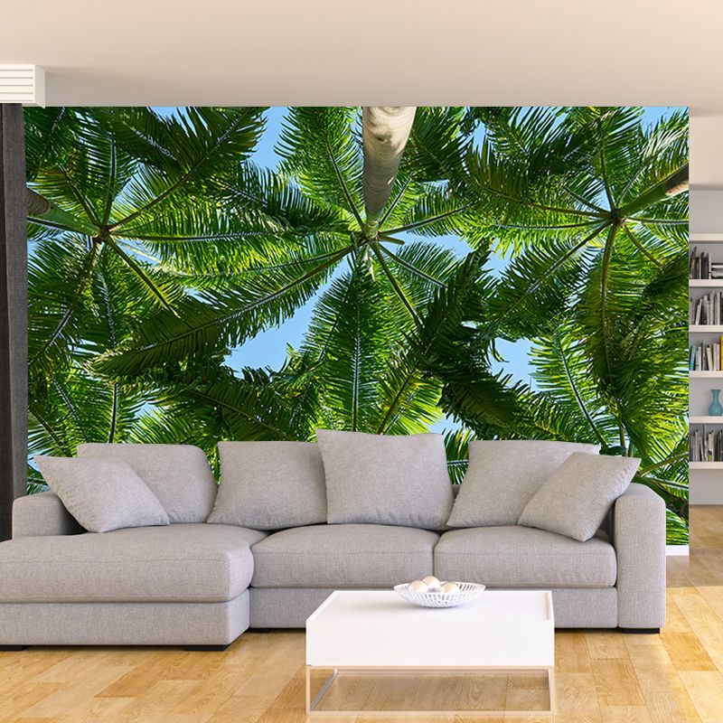 Tropical Trees Murals for Living Room, Water Resistant, Custom Size Available