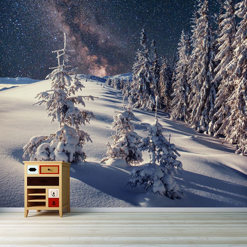 Nordic Milky Way Wallpaper Mural Grey Snowy Cypress Landscape Wall Decor for Home