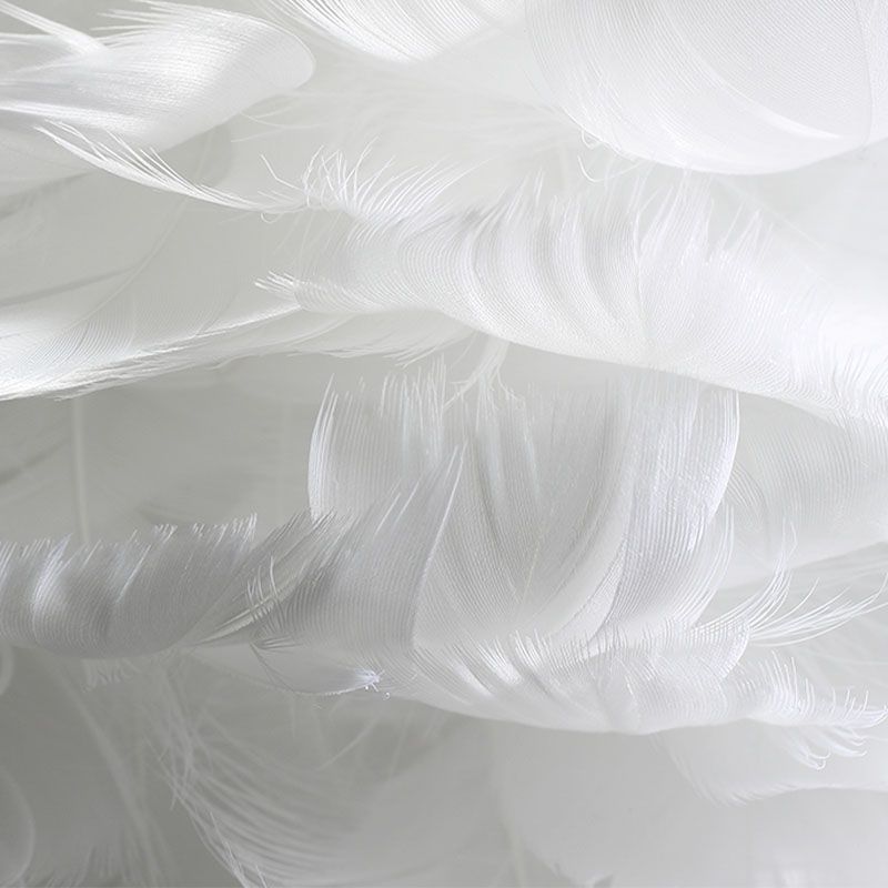 Luminaires de lustre Globe Chandelier Multi-Head Primp à lustre blanc avec une teinte en plumes