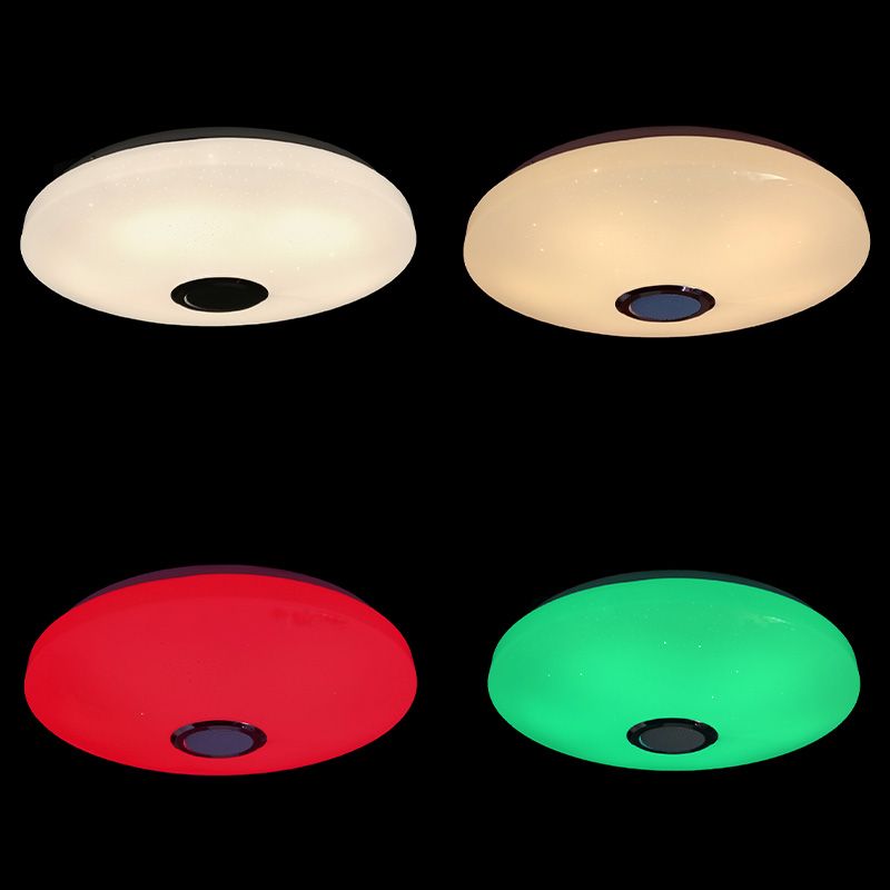 Ceiling Light Fixture Phone Control Light Bluetooth LED Light Living Room Light Indoor Light