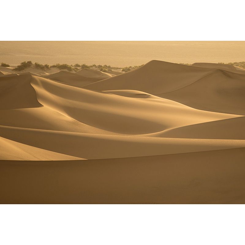 Desert Landscape Photography Stain Resistant Mural Wallpaper Indoor Wall Mural