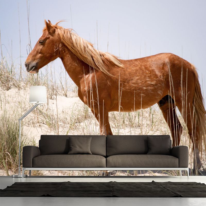 Horizontal Photography Horse Wall Mural Decorative Mildew Resistant for Living Room