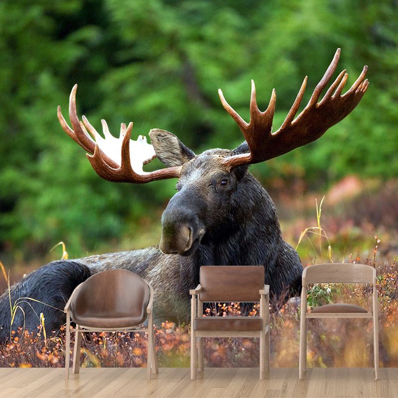 Modern Bucks Mural Wall Decor Mildew Resistant Living Room Wall Mural Wall Art