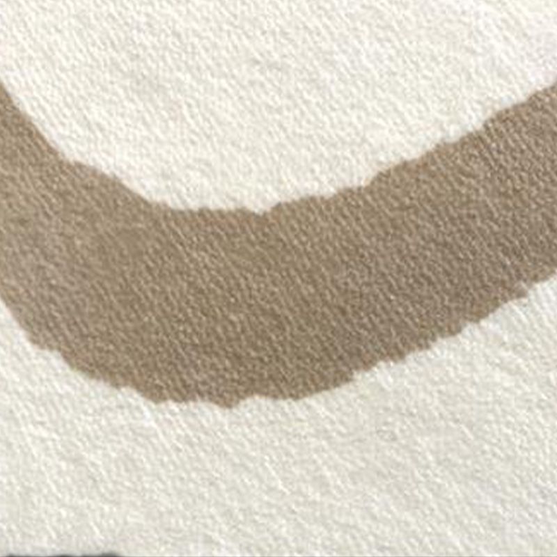 Apricot Color Piece Carpet Polyester Modern Carpet Washable Carpet for Living Room