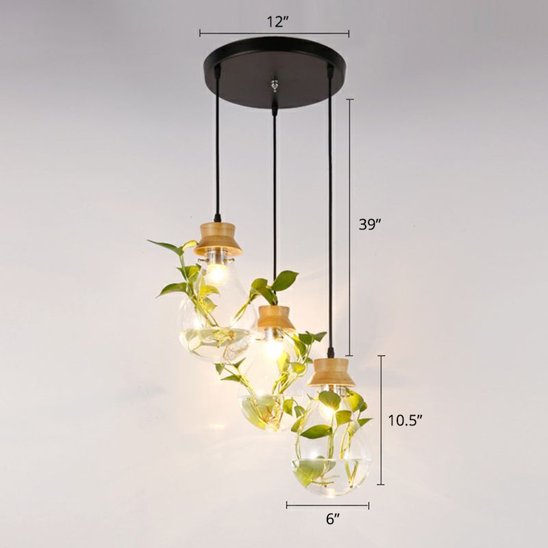 Hydroponic Plant Pendant Lamp Nordic Teardrop Shaped Clear Glass Suspension Light in Black