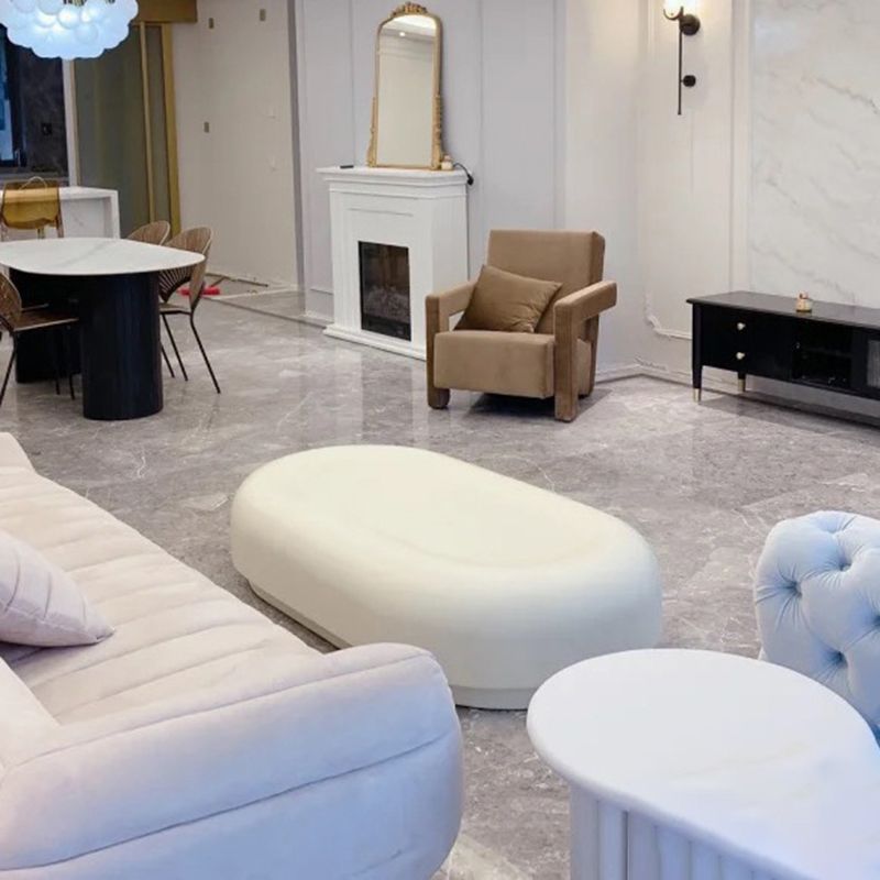 Contemporary 1 Single Coffee Table Oval Cocktail Table with Storage