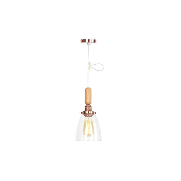 Globe/Cone/Small Bell Pendant Lighting Vintage Clear Glass 1 Licht Roségoud/Chrome hangende lamp met verstelbaar koord