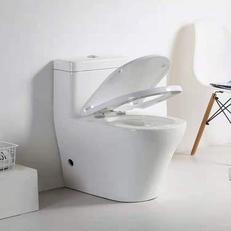 Modern Ceramic Siphon Jet Toilet Bowl Floor Mount Flush Toilet with Toilet Seat