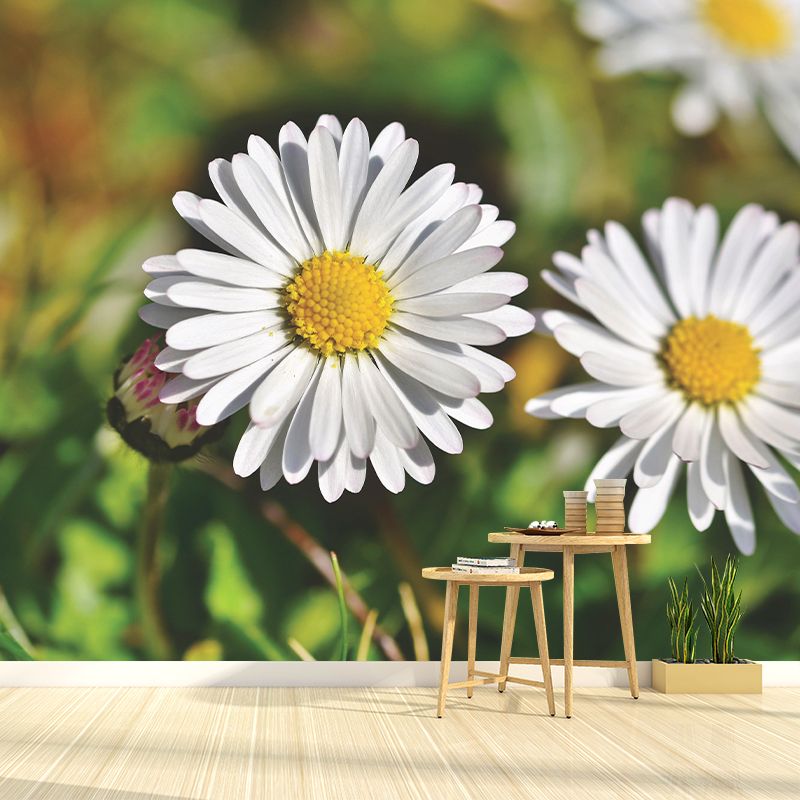 Modern Daisy Mural Wallpaper Stain Resistant Wall Covering for Living Room