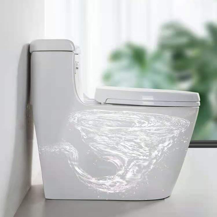Modern Ceramic Siphon Jet Toilet Bowl Floor Mount Flush Toilet with Toilet Seat