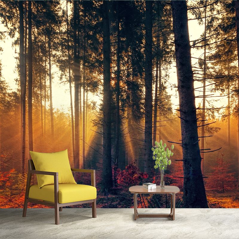 Environmental Wallpaper Forest Mildew Resistant Photography Wall Murals for Home