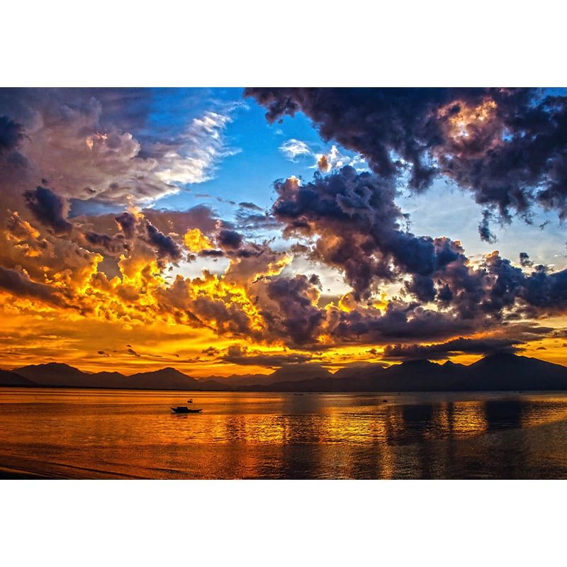 Decorative Sea Pattern Peel and Stick Photography Bedroom Wallpaper Tropical