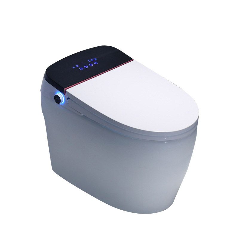 Modern All-In-One Toilet Bowl Skirted Toilet with Seat for Bathroom