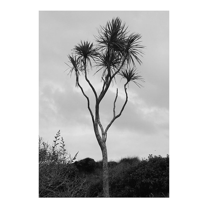 Palm Tree Wall Art Textured Surface Rustic Sitting Room Canvas Print in Grey