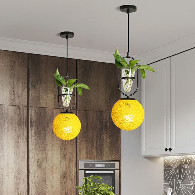 Single-Bulb Spherical Pendulum Light Decorative Rattan Hanging Lamp with Cone Glass Plant Container