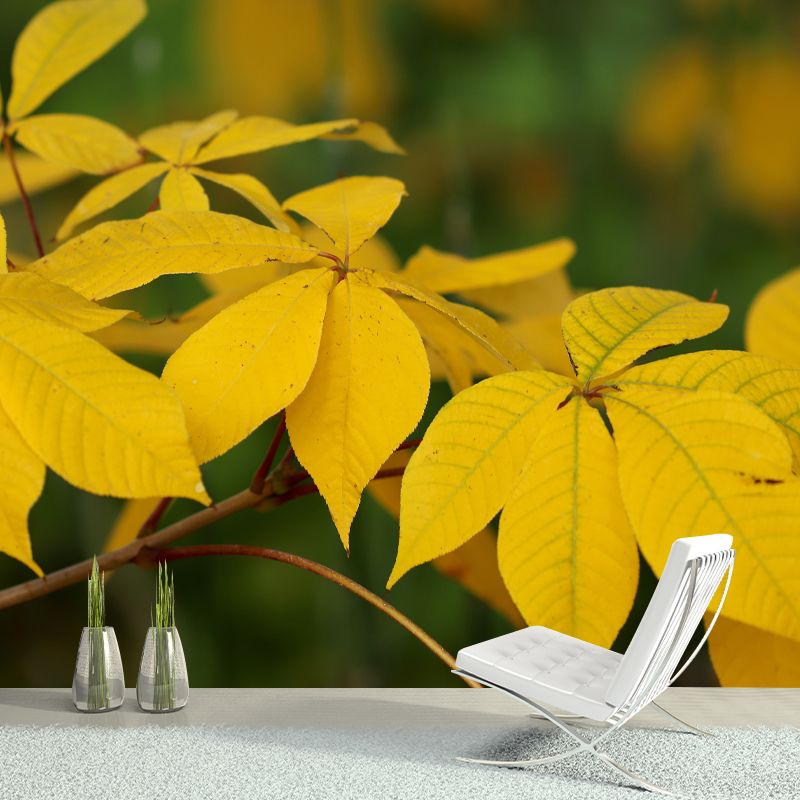 Autumn Leaves Murals Customized Stain Resistant Wall Decoration for Home