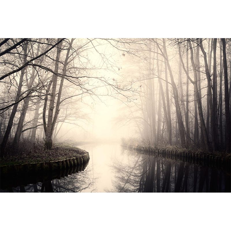 Impression photographique murale forêt de nuages pour le salon, couleur foncée, taille personnalisée