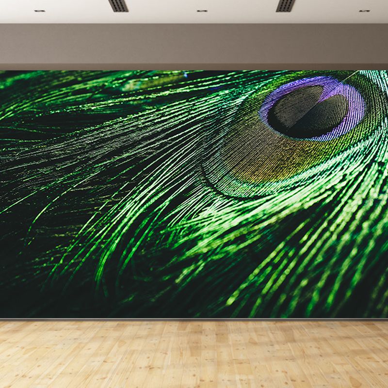 Tropical Peacock Feather Mural Stain Resistant Wall Art for Home Decor