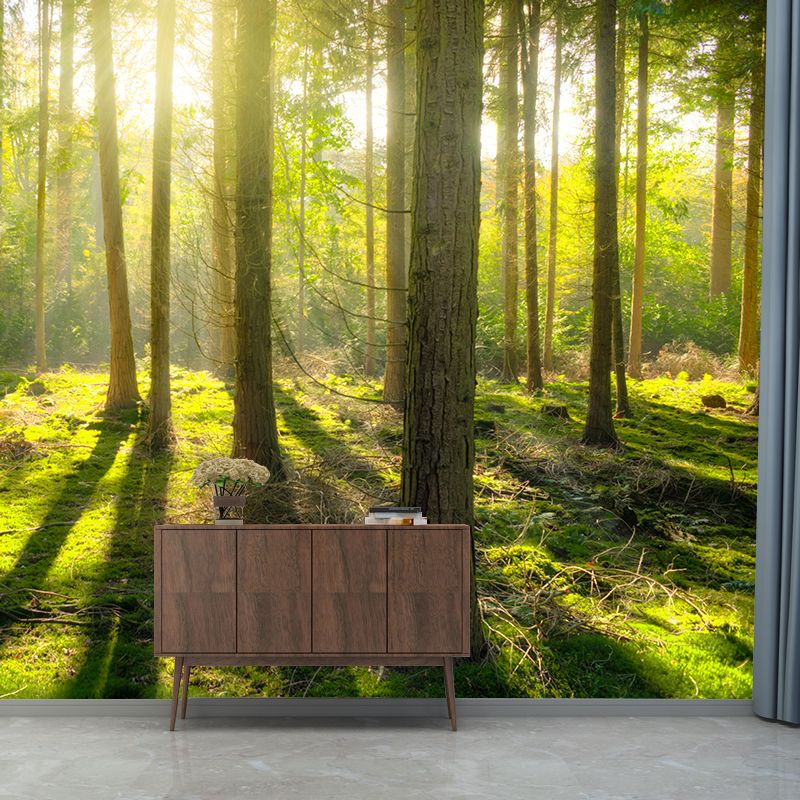 Environment Friendly Photography Forest Wallpaper Home Decor Mural Wallpaper
