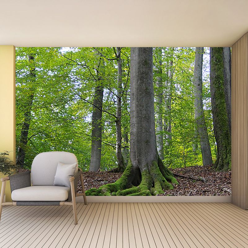 Green Forest Scenery Mural Wall Decor for Bedroom Study Room Reading Room