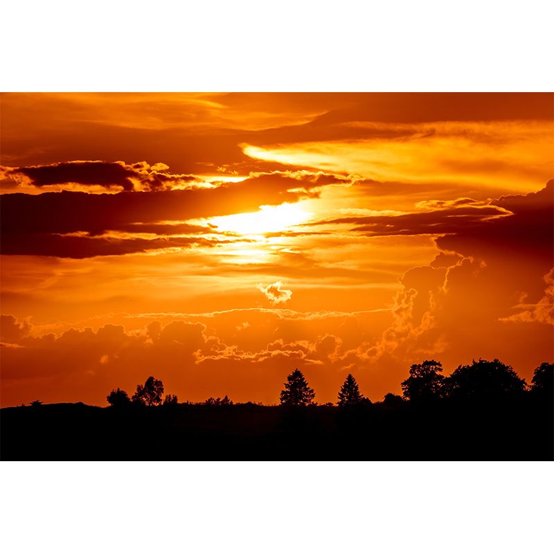 Horizontal Photography Sky Mural Soft Color Stain Resistant Wall Art for Home