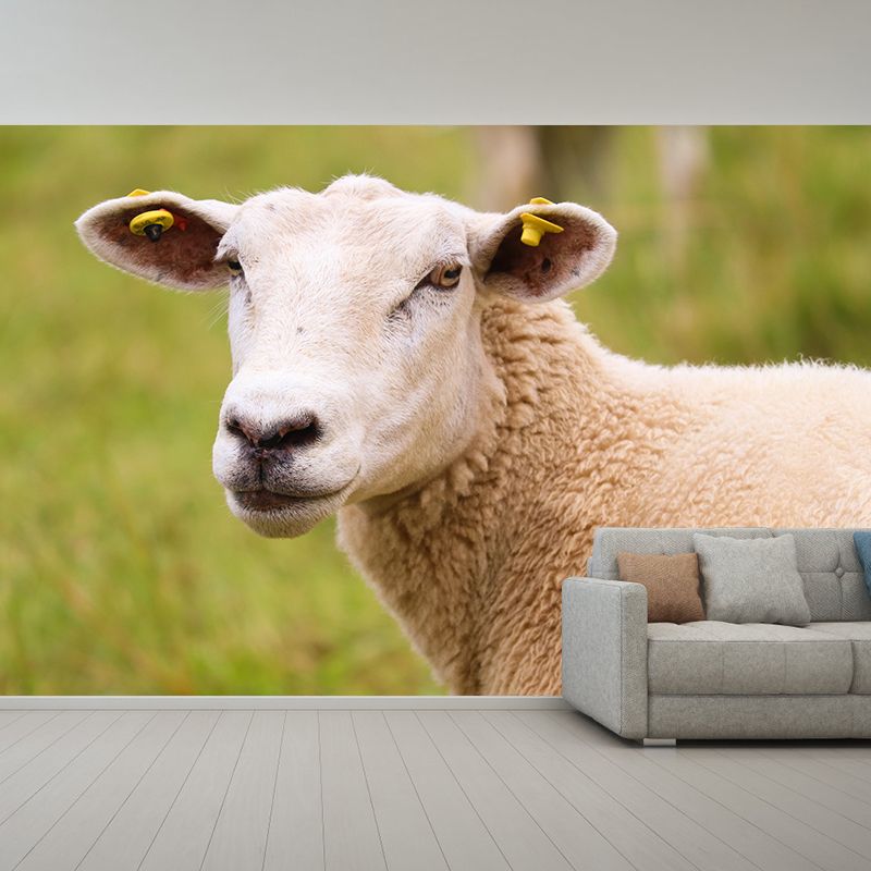 Cute Sheep Mural Decal Customized Modern Wall Covering for Living Room