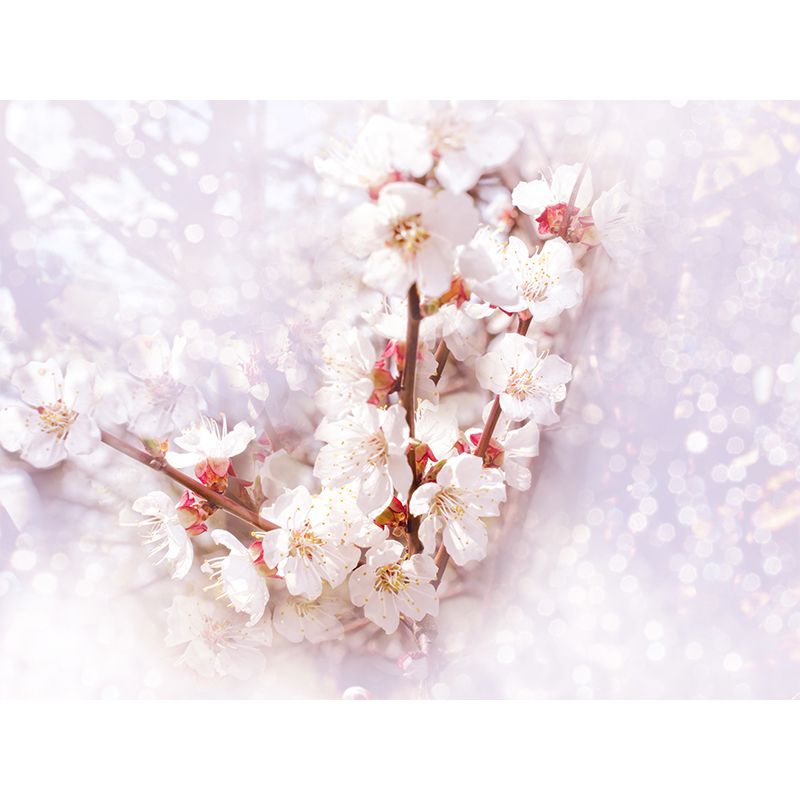 Contemporary Flower Bud Wall Mural Non-Woven Stain-Proofing White Wall Decor for Boys Room