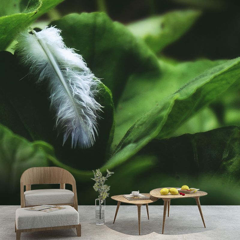 Soft Bird Feather Wall Mural Wallpaper Mildew Resistant Wall Covering for Decoration