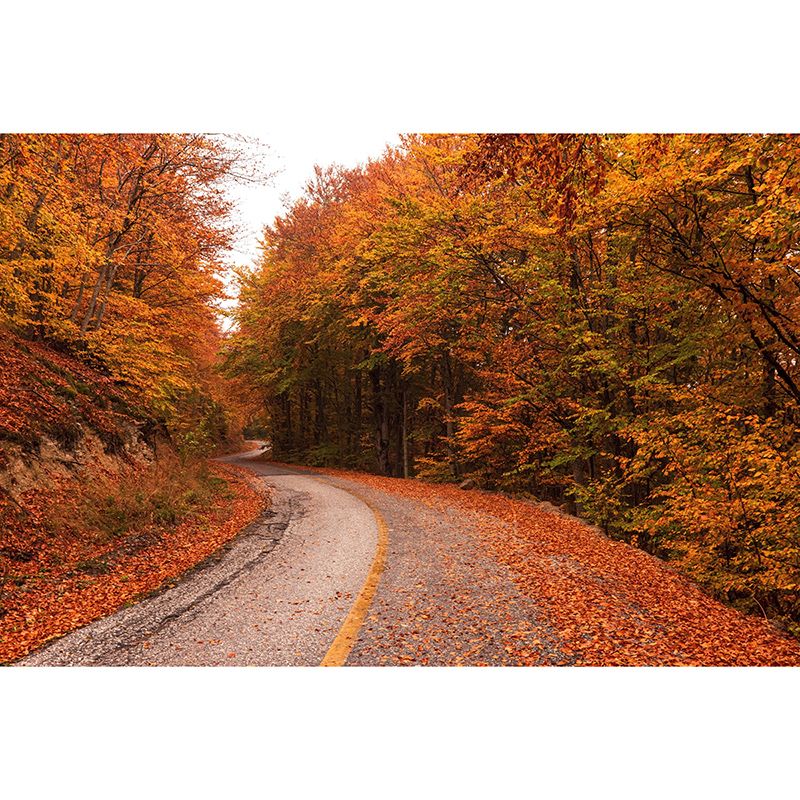 Customized Photography Space Extension Mural Eco-friendly Wallpaper for Bedroom