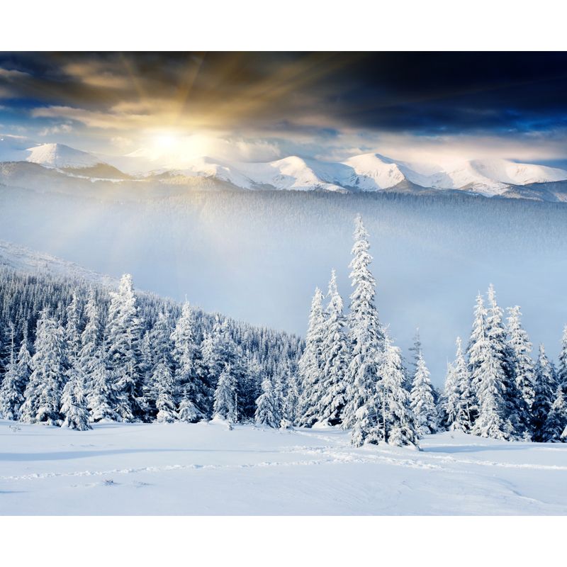 Morning Snowy Landscape Wall Mural Decal White Contemporary Wall Art for Bedroom